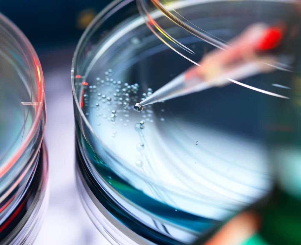 82fcd3 9de2b3736dd24d02a9a63b2cd6c1e742mv2